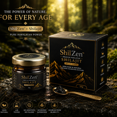 ShilZen Premium Himalayan Shilajit Resin 20g | Pure Himalayan Power | Pack of 1
