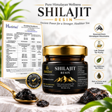 ShilZen Premium Himalayan Shilajit Resin 20g | Pure Himalayan Power | Pack of 1