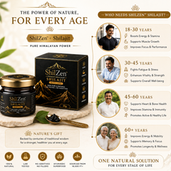 ShilZen Premium Himalayan Shilajit Resin 20g | Pure Himalayan Power | Pack of 1