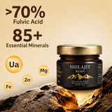 ShilZen Premium Himalayan Shilajit Resin 20g | Pure Himalayan Power | Pack of 1